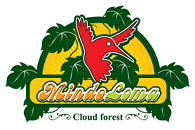 Mindo Loma Lodge